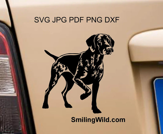 Full body German shorthaired pointer  SVG PNG and DXF vector design in standing / pointing position imitatiing hunting scene