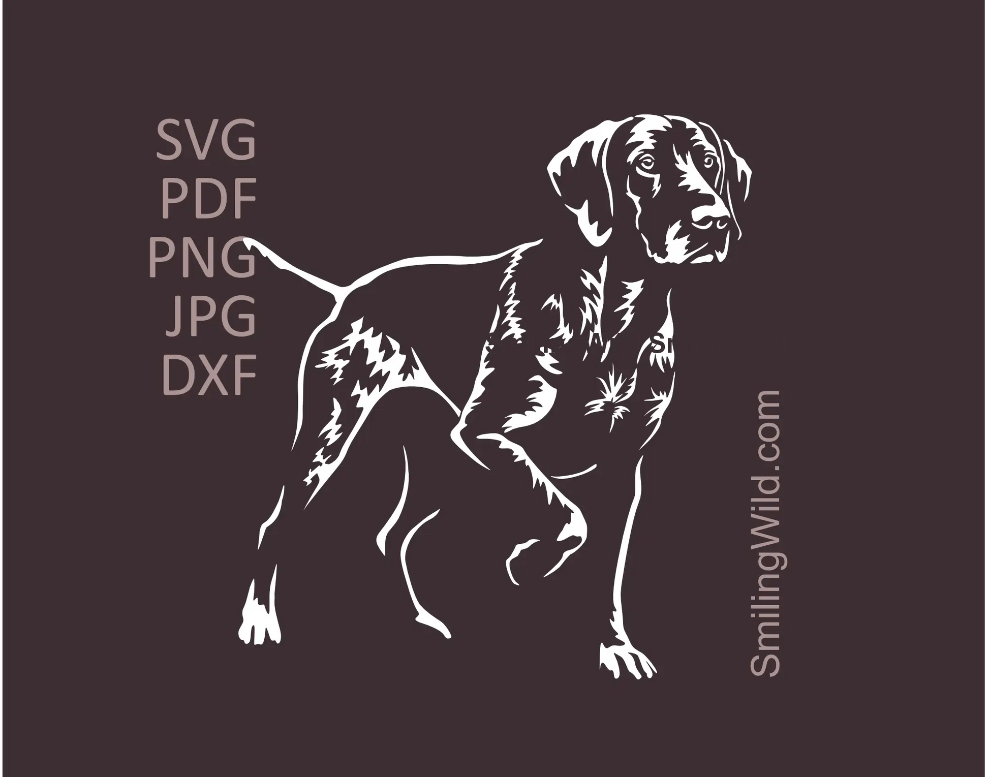 full body German Shorthaired Pointer standing in hunting position in white SVG clipart for cutting design preview