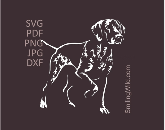 full body German Shorthaired Pointer standing in hunting position in white SVG clipart for cutting design preview