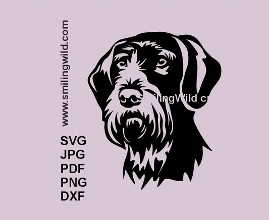 German Wirehaired Pointer dog face digital drawing in popular vector and rastra formats SVG PNG DXF 