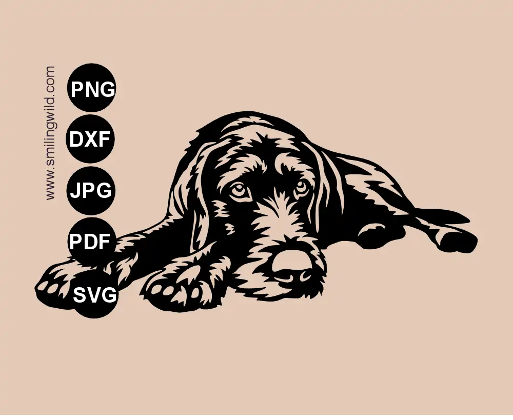 Vector graphic sigle piece SVG Drawing of a lying German wirehaired Pointer with curious expression.