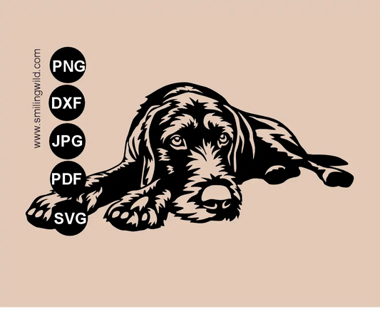 Vector graphic sigle piece SVG Drawing of a lying German wirehaired Pointer with curious expression.