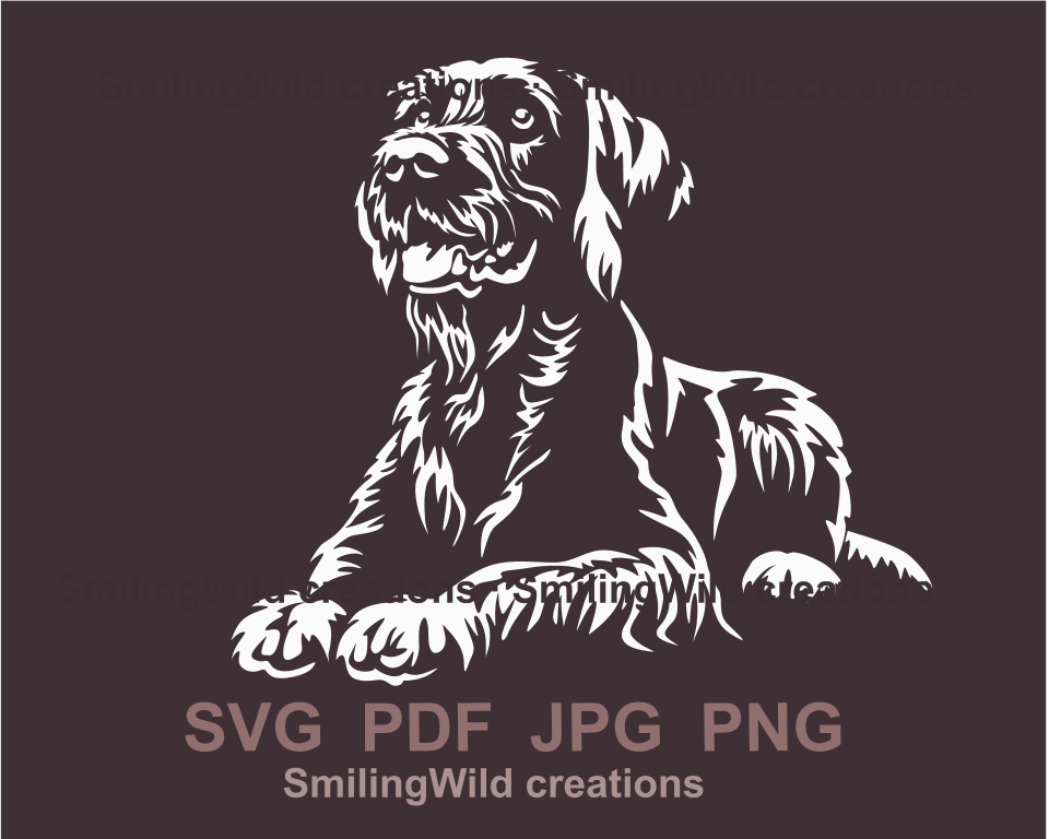 german wirehaired pointer white design application in graphic style