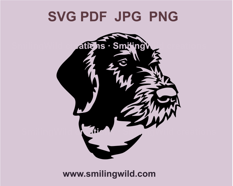 a head of a german wirehaired pointer svg cuttble vector image