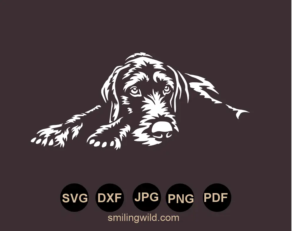 SVG DXF PNG files of  German Wirehaired Pointer in a white vector graphic cut file preview presenting a detailed lying dog posture for airbrush stencils and glass etching templates
