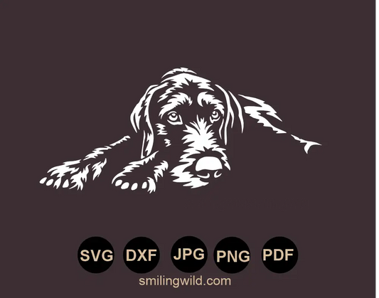 SVG DXF PNG files of  German Wirehaired Pointer in a white vector graphic cut file preview presenting a detailed lying dog posture for airbrush stencils and glass etching templates