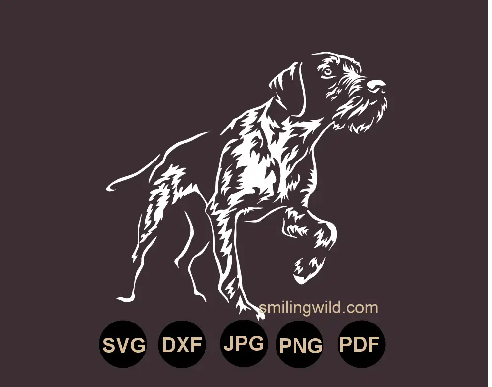 German Wirehaired Pointer SVG and DXF white vector cut file in pointing position
