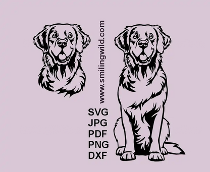 Golden Retriever head and full body SVG DXF bundle – digital dog clipart set 
