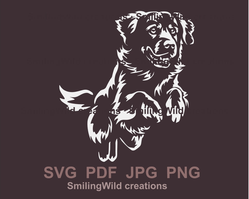 Golden Retriever Dog SVG, PNG white clipart, jumping full body preview for Cricut, laser cutting, pastoral canine crafts