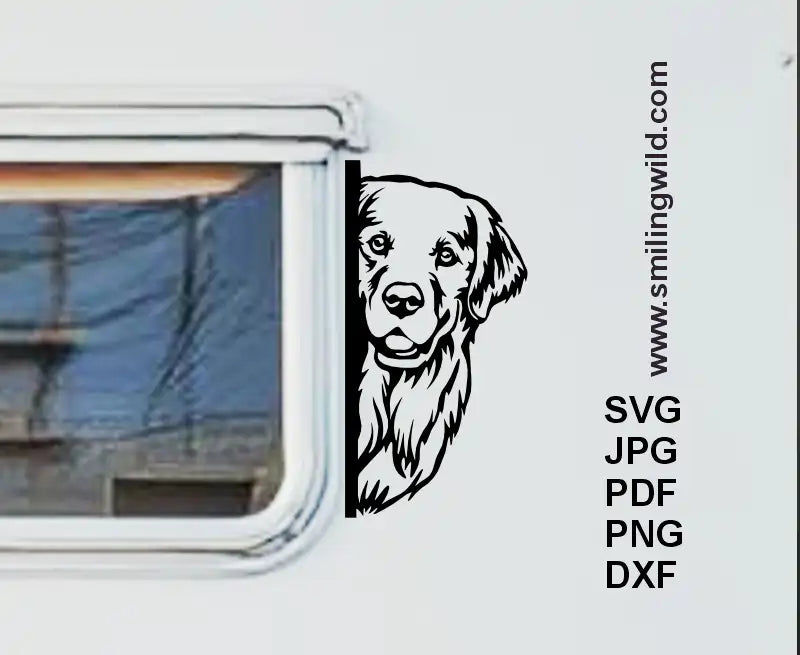 Golden Retriever dog png clipart for Cricut vinyl decals and pet-themed crafts