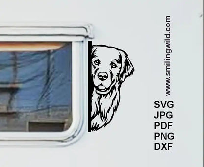 Golden Retriever dog png clipart for Cricut vinyl decals and pet-themed crafts