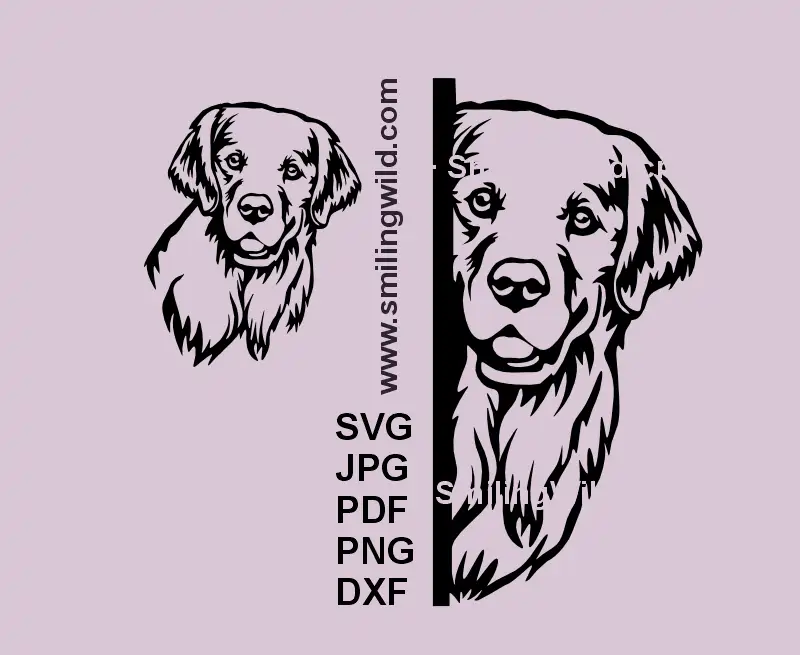 Golden Retriever looking around the corner SVG black vector graphic for laser cutting