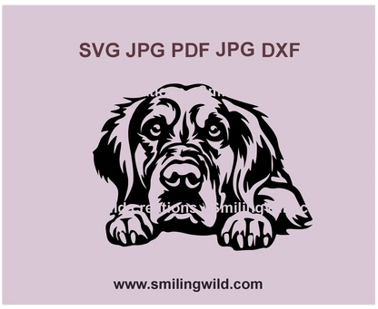 Golden Retriever dog black lying portrait SVG PNG DXF clipart – realistic vector graphic for Cricut, Laser Cutting, and engraving projects