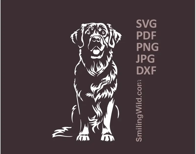 White sitting Golden Retriever SVG PNG DXF – realistic dog vector design for Cricut and laser engraving projects