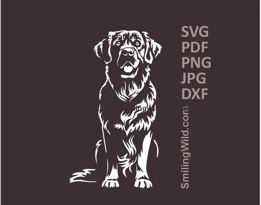 White sitting Golden Retriever SVG PNG DXF – realistic dog vector design for Cricut and laser engraving projects