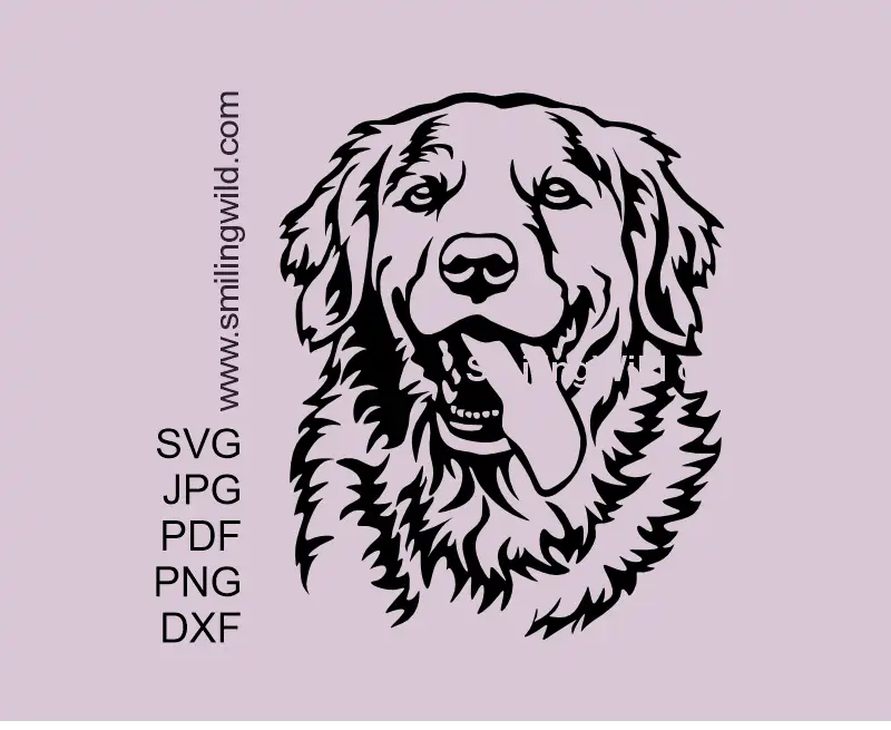 Golden Retriever SVG, PNG, DXF Vector Clipart of a Smiling Dog Face. Dog portrait design optimized for Cricut cutting.