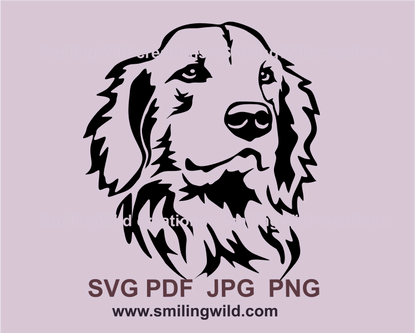 a smiling golden retriever head ade in graphic svg art with transparent background