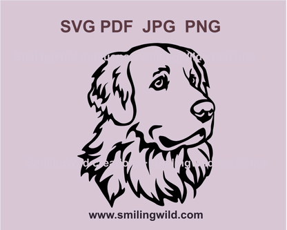 golden retriever detailed head in a svg clipart cuttable drawing