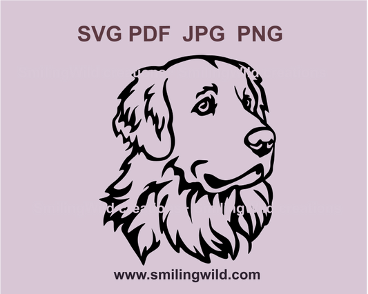 golden retriever detailed head in a svg clipart cuttable drawing