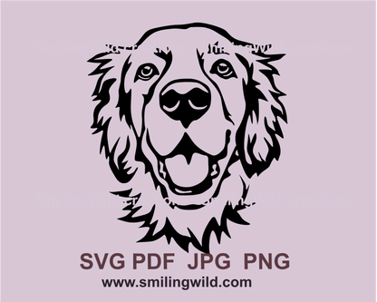 golden retriever face drawing in svg graphic art