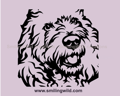 goldendoodle clip art design close up image