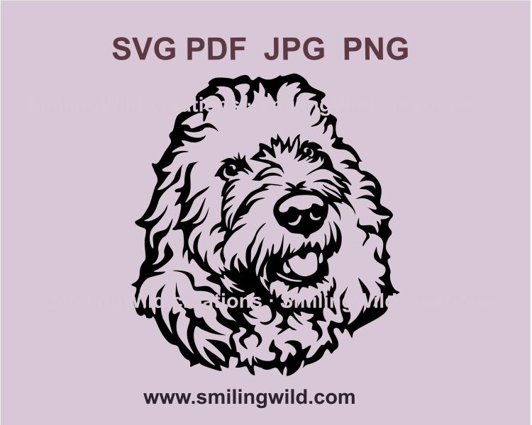 goldendoodle face in svg clip art design