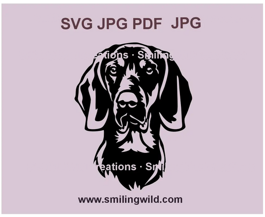 Gończy Polski SVG, DXF and PNGvector portrait – detailed Polish Hunting Dog clipart for Cricut, Silhouette, and laser cutting