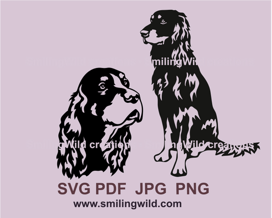 a gordon settervetor graphic clip art syle images of a dog head portrait and a full body siting sample