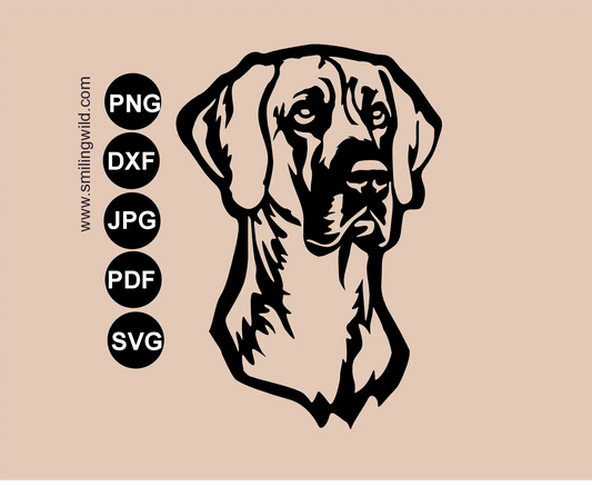 Great dane portrait in bold graphic lines to present this dog breeds SVG and png files for single piece laser and cnc cutting file