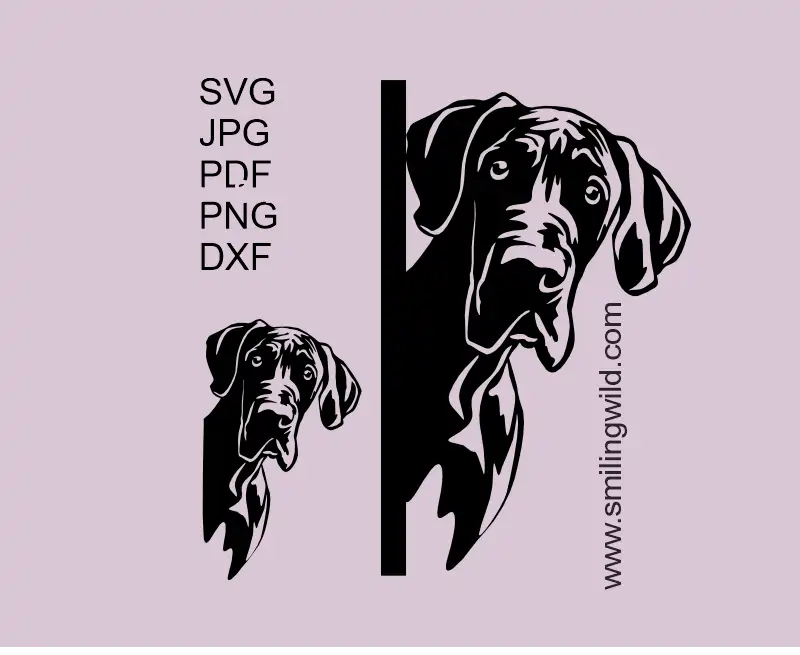 Great Dane SVG vector graphic – realistic peeking dog clipart for Cricut and laser cutting in SVG PNG and DXF file types