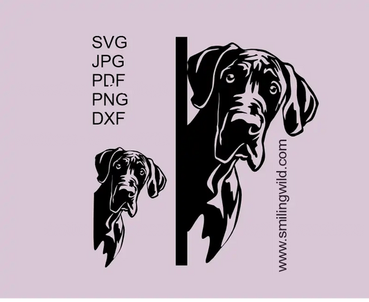 Great Dane SVG vector graphic – realistic peeking dog clipart for Cricut and laser cutting in SVG PNG and DXF file types