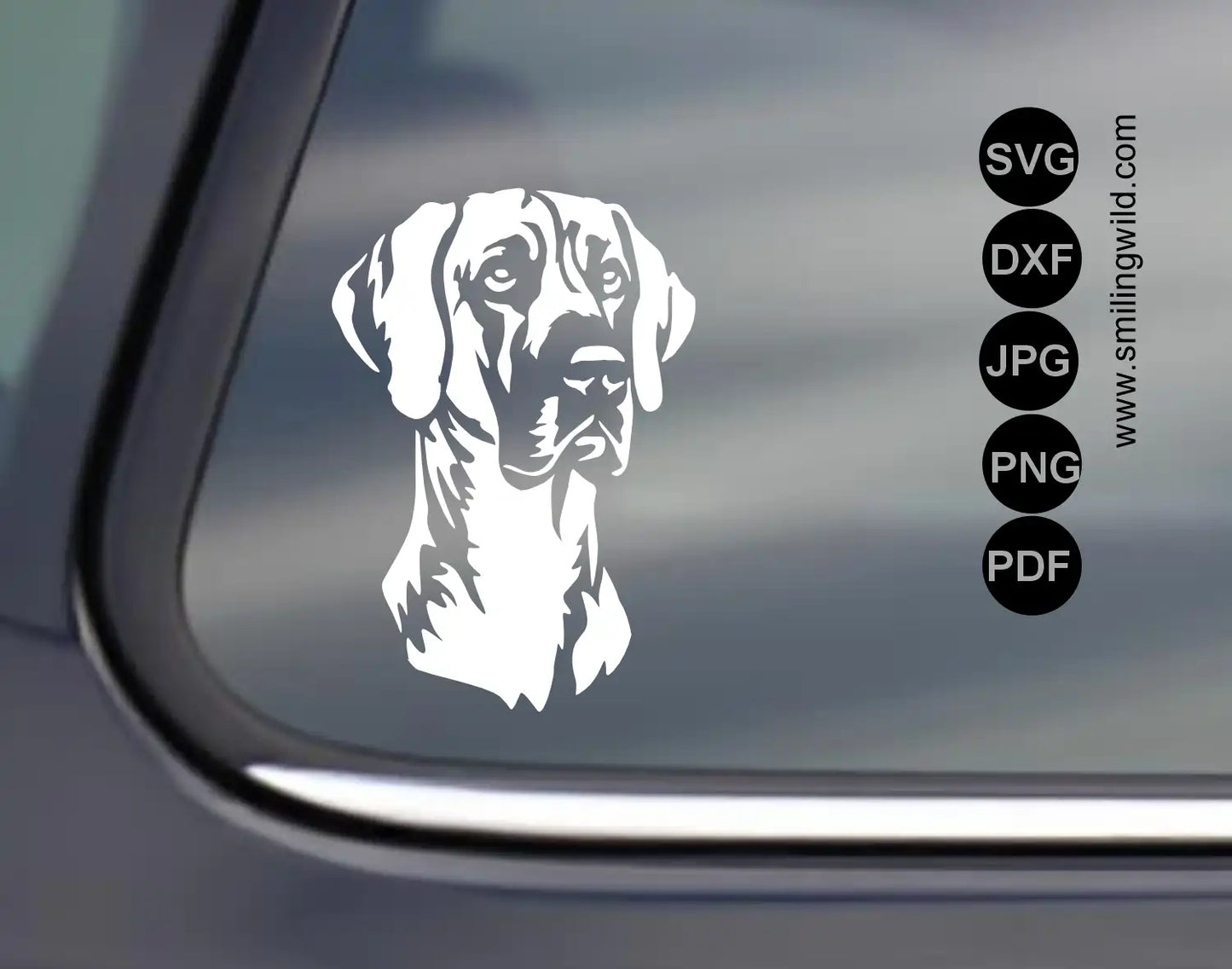 Great dane svg and png dog cut file visualisation for vinyl car decals