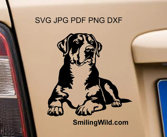 Greater Swiss Mountain Dog svg and png cut file for vinyl stickers and Cricut projects