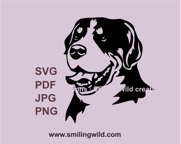 Greater Swiss Mountain Dog svg clip art design
