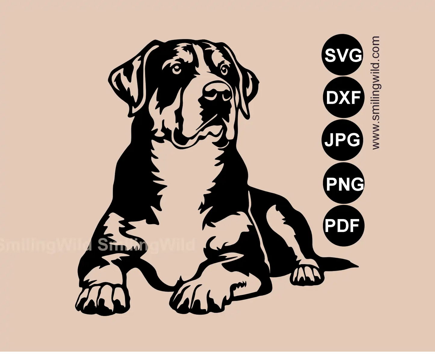 Greater Swiss Mountain Dog SVG, png and dxf clipart presenting the lying dog  bridged vector art for metal wall art.