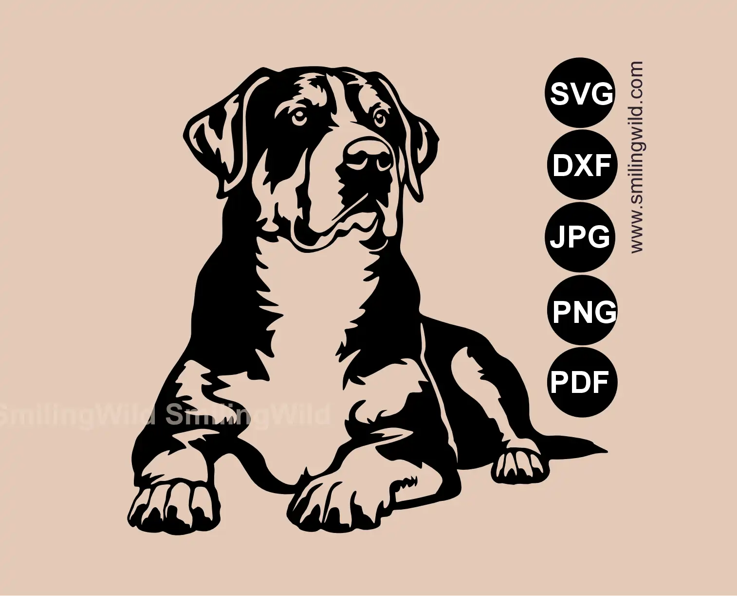 Greater Swiss Mountain Dog SVG, png and dxf clipart presenting the lying dog  bridged vector art for metal wall art.