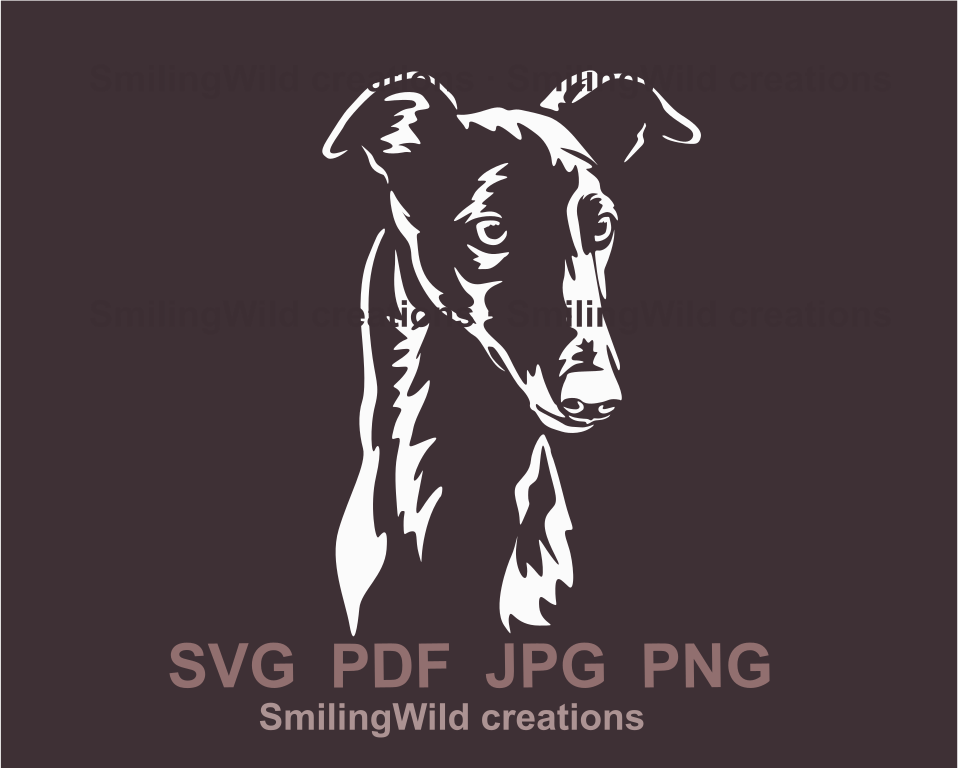 English greyhound face, in white vector art