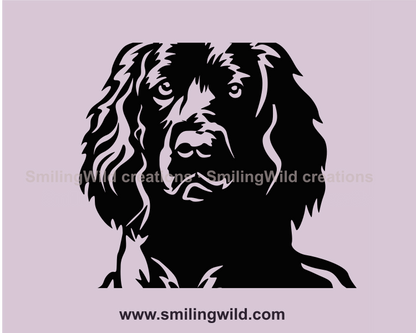 gun dog portrait