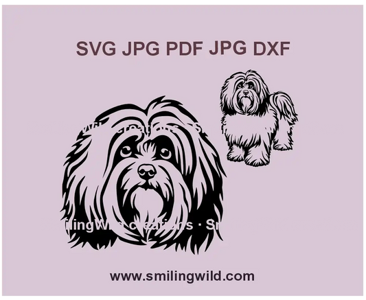 Havanese Bichon dog SVG, PNG & DXF – Vector clipart for Cricut and laser cutting
