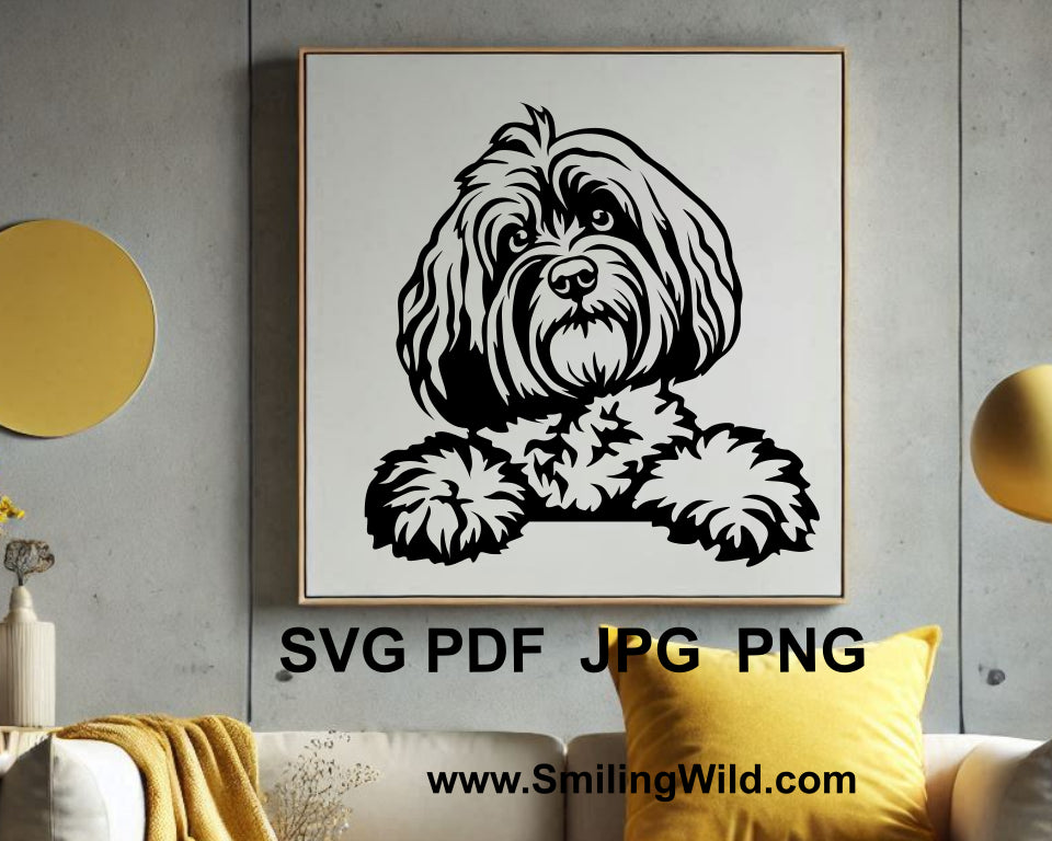 Adorable peeking Havanese dog outline SVG, perfect for DIY projects, card making, and unique pet portrait creations