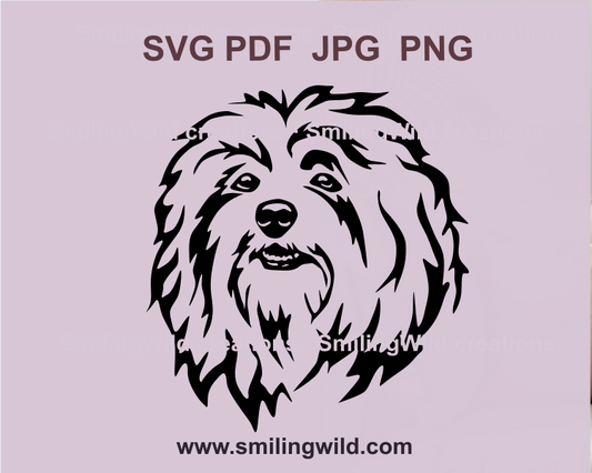 Havanese SVG and png clipart of a  dog head, ideal for Cricut cutting machines and digital crafts