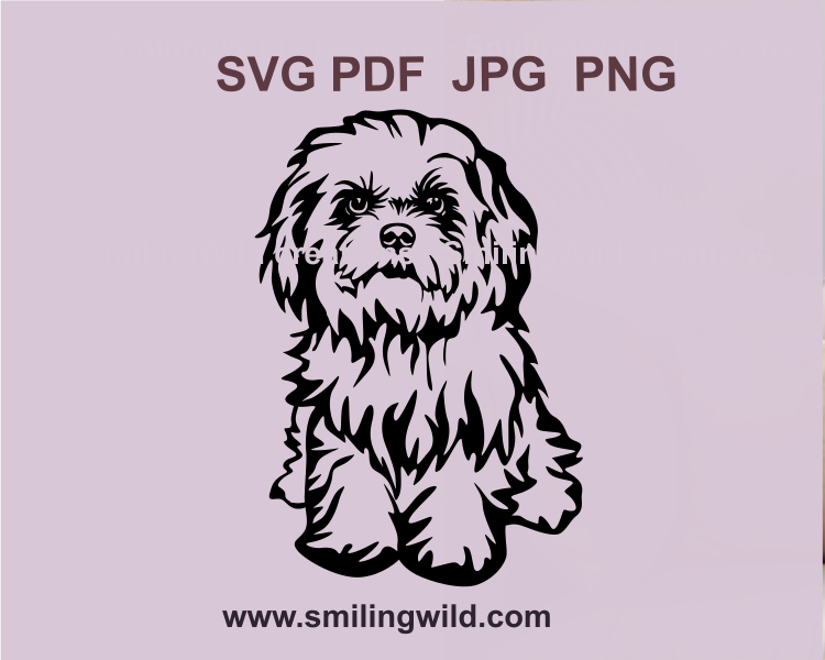 Adorable Havanese dog SVG file, perfect for crafting projects, unique pet portrait designs, custom t-shirts, and decorative pillows