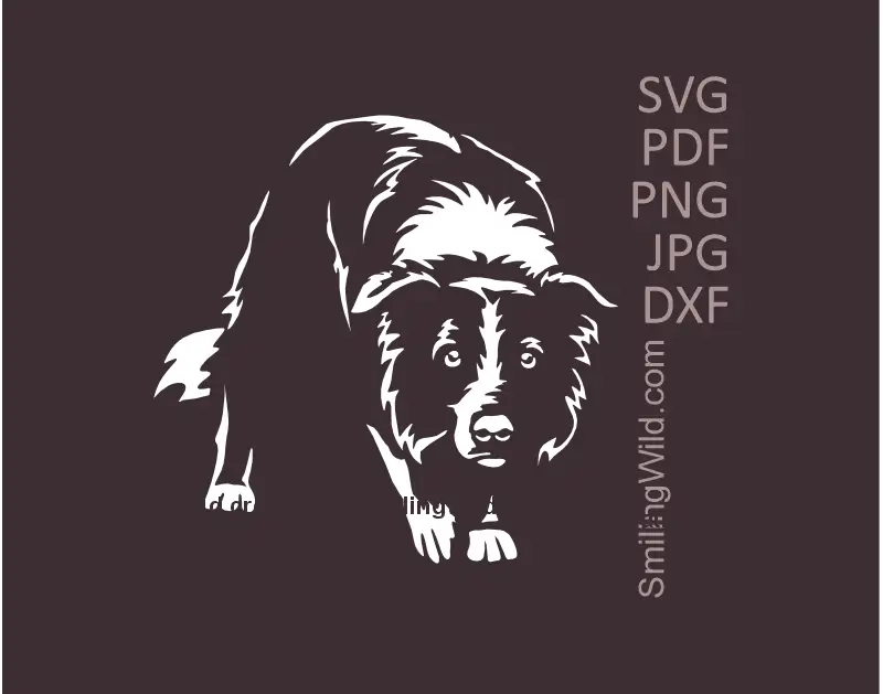 Herding Border Collie White  full body portrait in SVG PNG DXF vector graphic for vinyl cutting, Cricut, and laser engraving on dark surfaces
