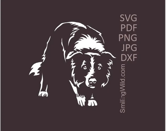 Herding Border Collie White  full body portrait in SVG PNG DXF vector graphic for vinyl cutting, Cricut, and laser engraving on dark surfaces