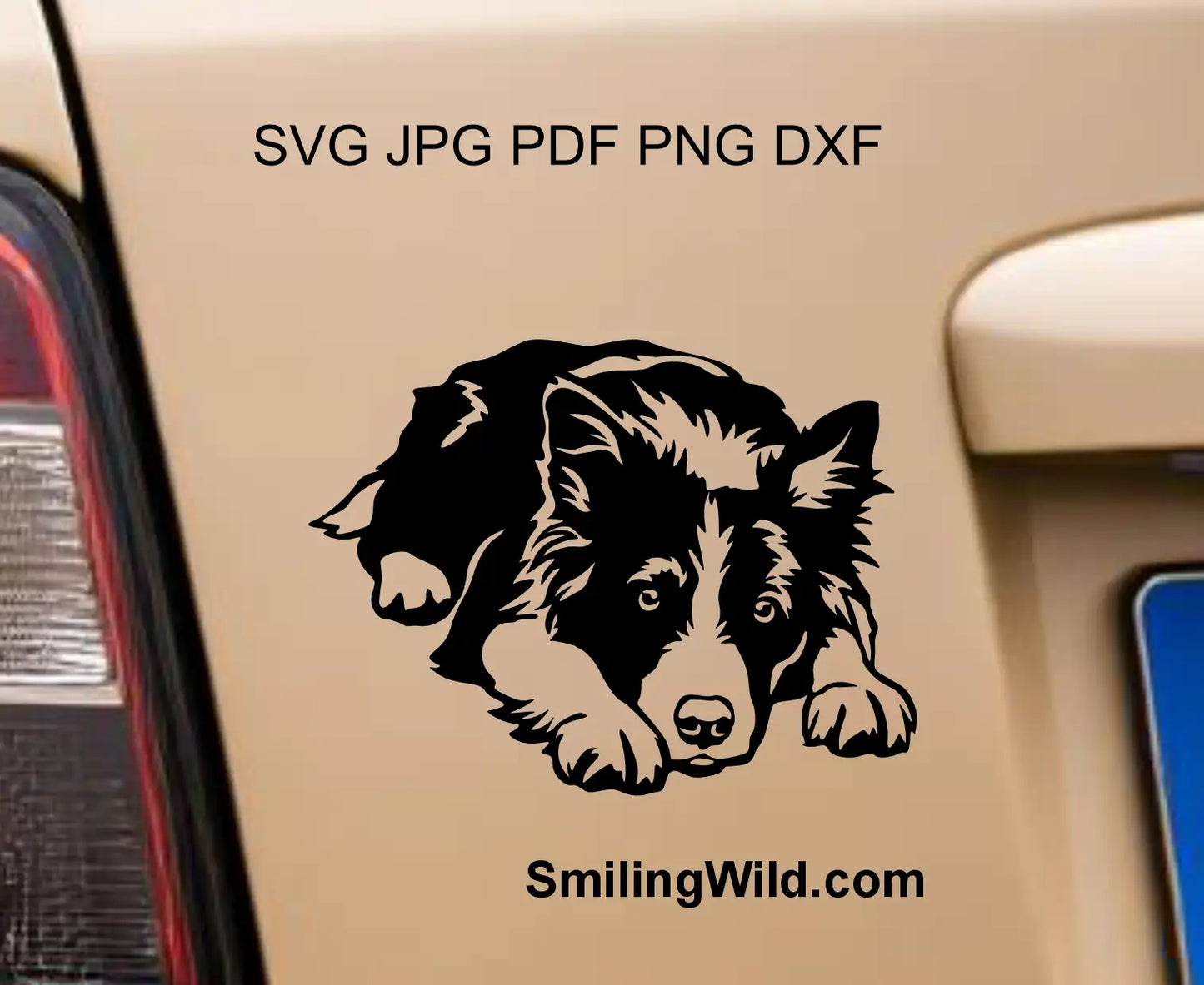 Herding dog clipart featuring a Border Collie in a lying pose, optimized for DXF and PNG formats.