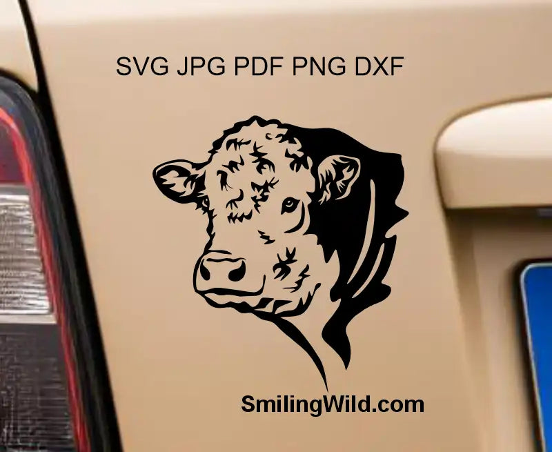 Hereford bull clipart graphic design displayed on car as a sticker to show clean line of this illustration