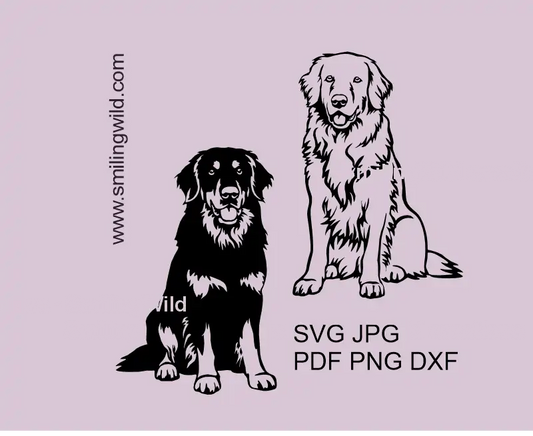 Hovawart SVG Vector Clipart bundle showing Black and Blonde Dog Graphic Design sitting variations.