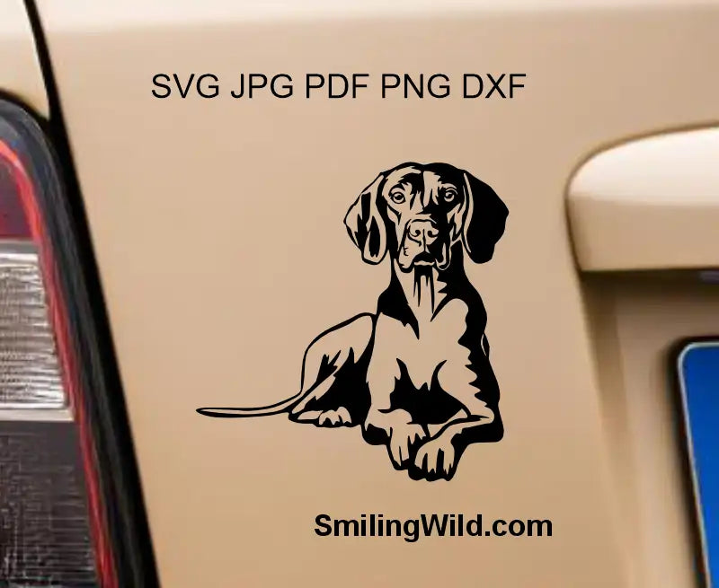 A vector SVG and DXF cutting file showcasing a lying Hungarian Vizsla dog with raised chest and head