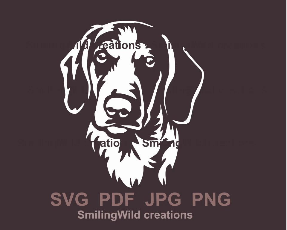 gun dog Drever face looking dorvard in white graphic design style