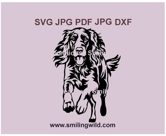 Hunting Irish Setter SVG & PNG, DXF vector clipart – black running dog illustration for Cricut and laser cutting projects